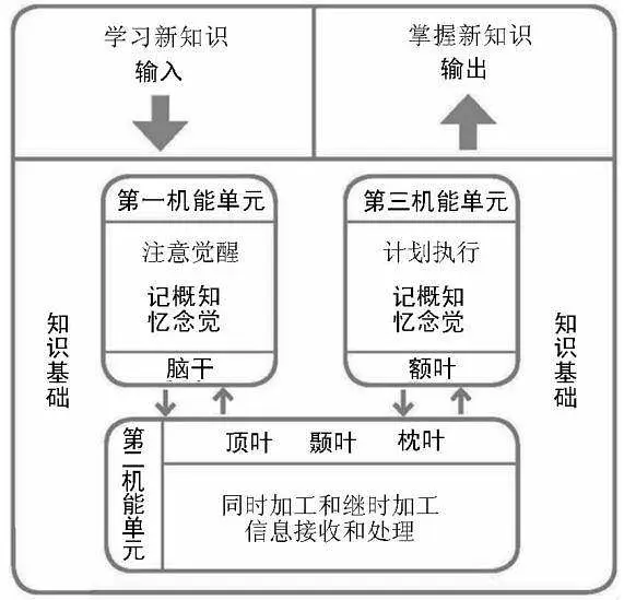 婴儿个体化阶段是否顺利_形成社会与个体的简单概念,是婴幼儿_幼儿期是个体社会化的初始阶段