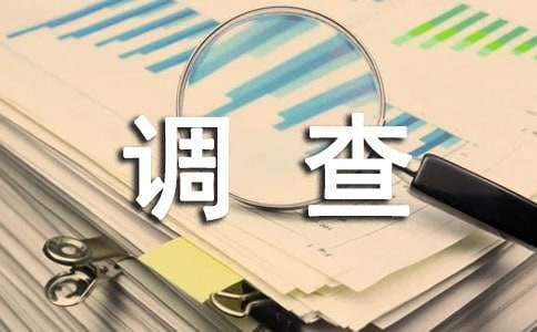 社会环境调查报告