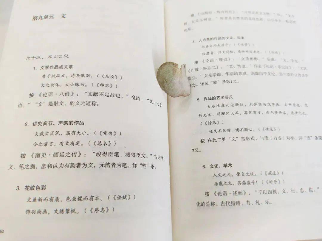 国学经典文章朗诵_国学经典文章_国学经典文章全文