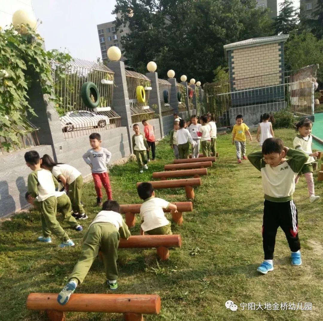 小小探索家_小小探索家第一季_小小探索家项目课程的读后感