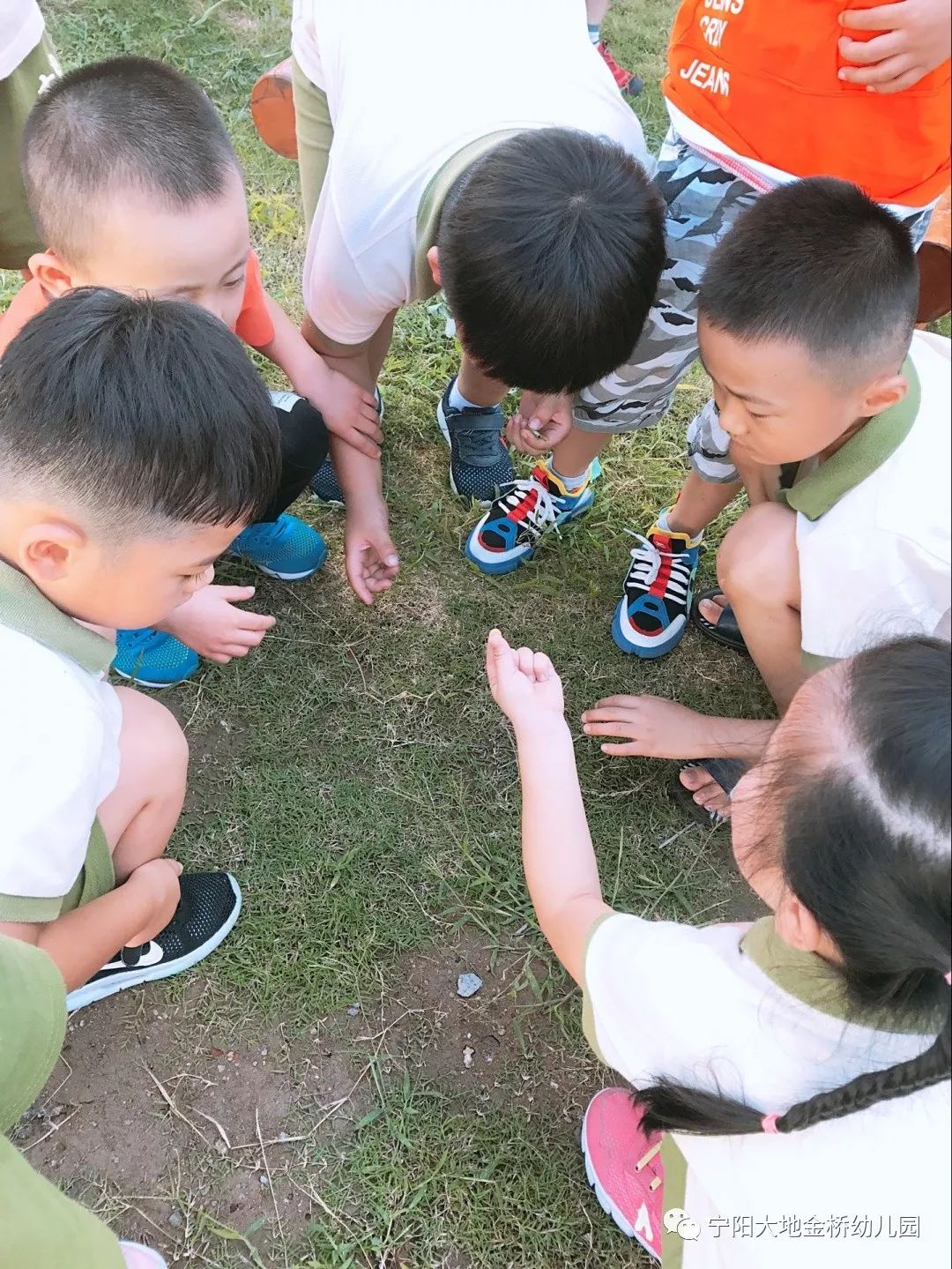 小小探索家第一季_小小探索家项目课程的读后感_小小探索家