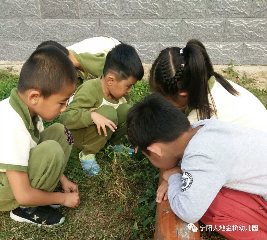 小小探索家_小小探索家第一季_小小探索家项目课程的读后感