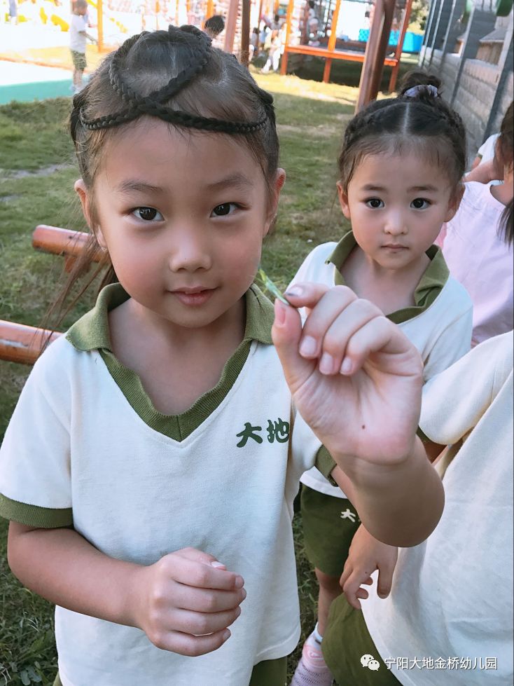 小小探索家第一季_小小探索家_小小探索家项目课程的读后感