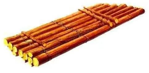 船舶的历史书籍_船舶历史_船的研究历史