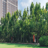2016年龙岩市社会保险网上综合查询_龙岩社保网上查询,社保卡进度及余额查询