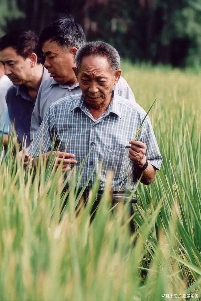 人生社会价值的含义_社会价值人生价值_人生的社会价值