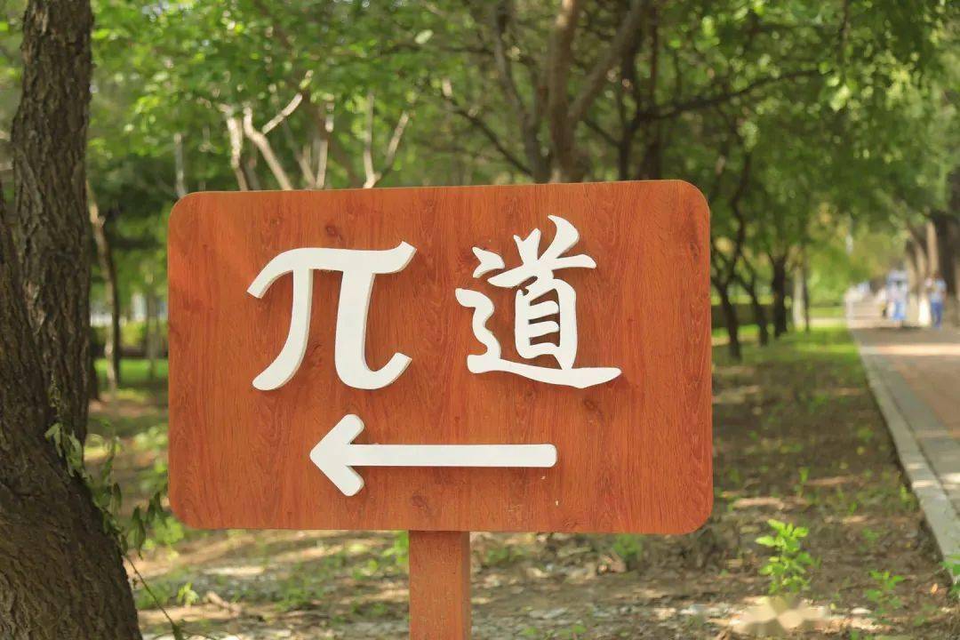 走进数学学院（三） | 漫步π道，探索数字奥秘