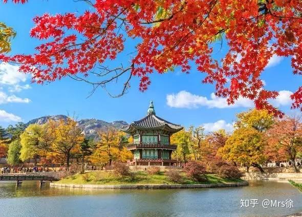韩国学生累还是日本学生累_韩国学_韩国学校倒闭