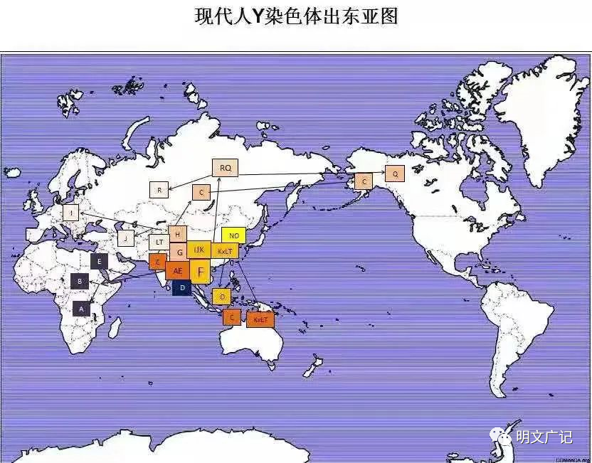 什么是研究远古人类历史的重要依据_研究远古人类的重要依据_什么是研究远古人类历史的重要依据