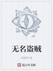 无名盗贼在线阅读