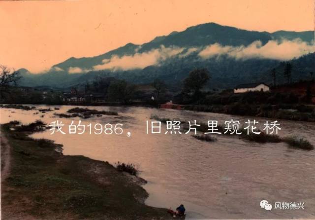 我的1986，老照片里看大茅山垦殖场