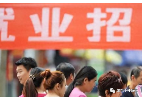 整个社会结构包括什么_整个社会的_社会整体