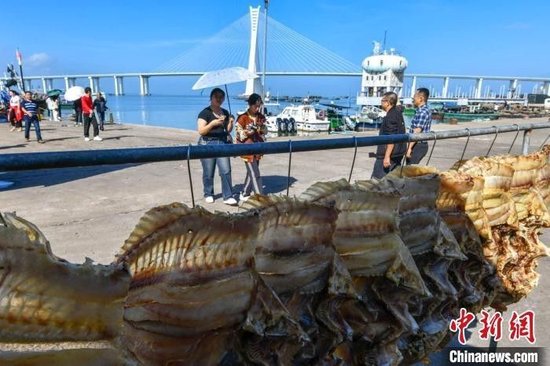 海南文昌历史名人_海南文昌历史故事_文昌名人录_海南文昌名人大全