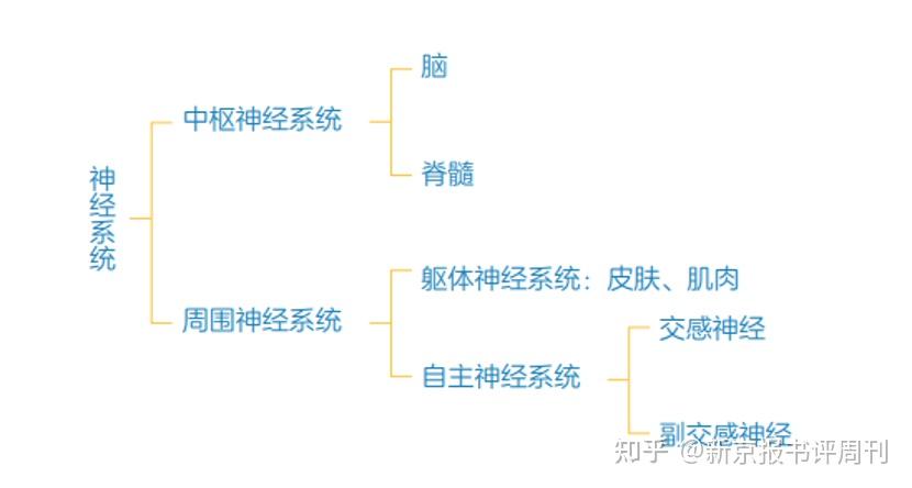 社会性应激源举例_社会心理应激源_社会性应激源