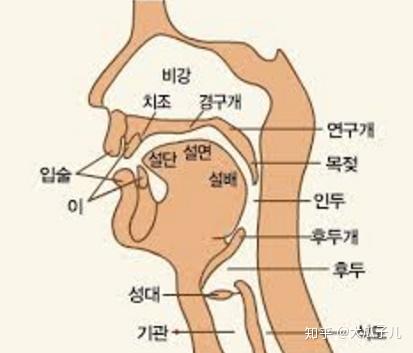 韩国学生累还是日本学生累_韩国学生发型_韩国学