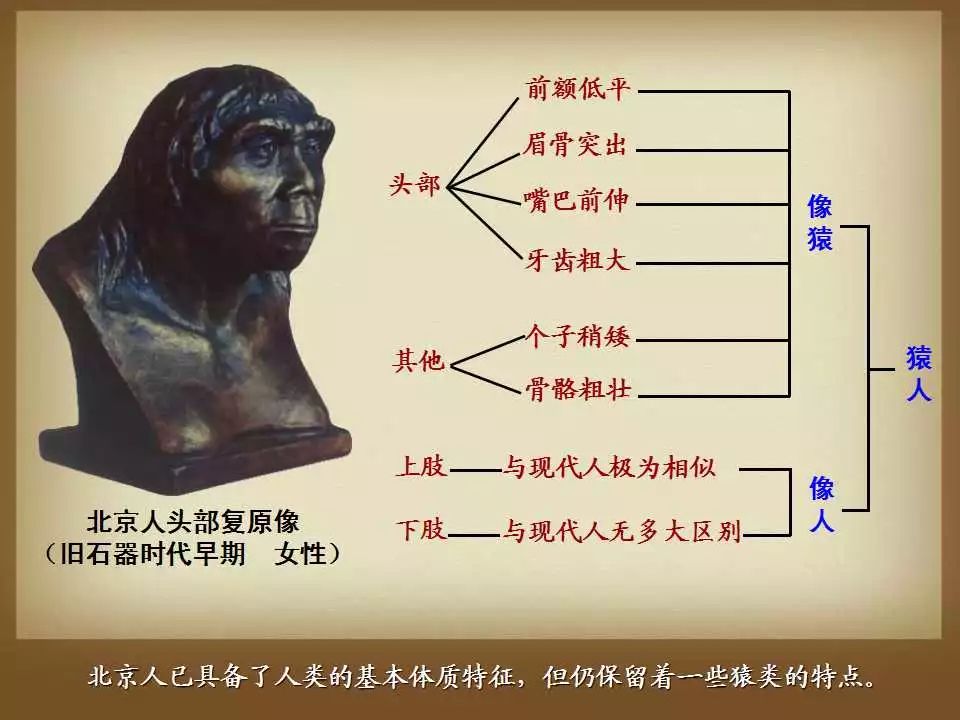 研究人类进化史的意义_对于研究古人类进化的历史具有重要的意义为_研究人类进化的意义