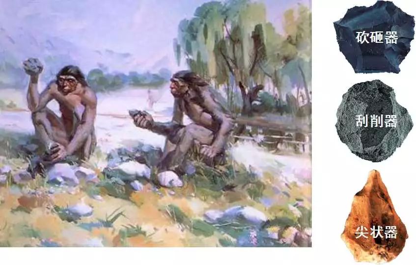 对于研究古人类进化的历史具有重要的意义为_研究人类进化的意义_研究人类进化史的意义