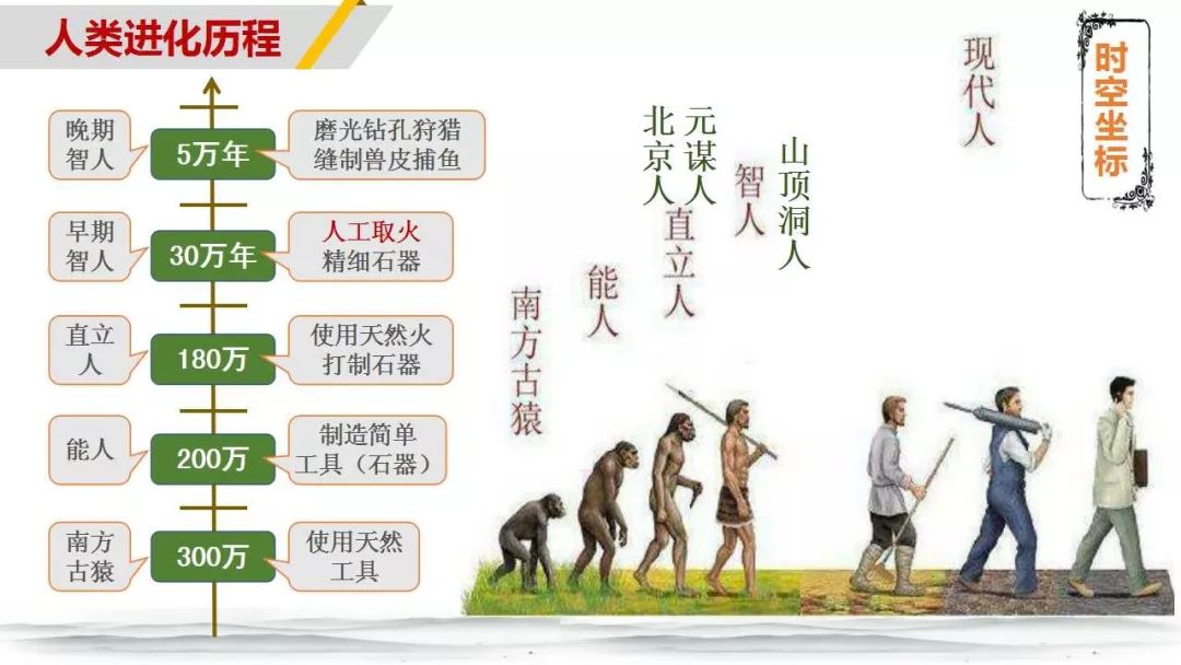 进化的意义是什么_对于研究古人类进化的历史具有重要的意义为_研究人类进化的意义