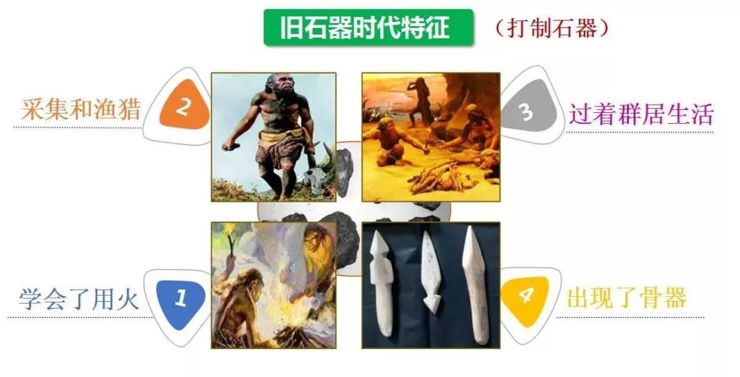 进化的意义是什么_研究人类进化的意义_对于研究古人类进化的历史具有重要的意义为