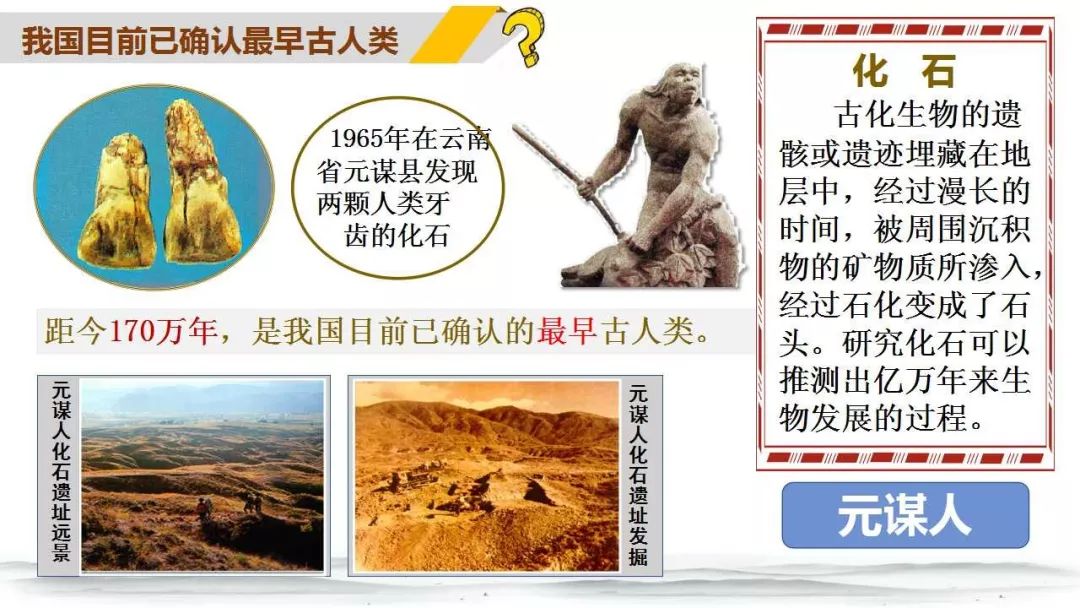 研究人类进化的意义_进化的意义是什么_对于研究古人类进化的历史具有重要的意义为