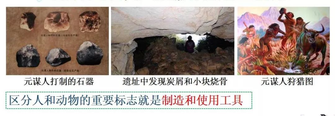对于研究古人类进化的历史具有重要的意义为_进化的意义是什么_研究人类进化的意义