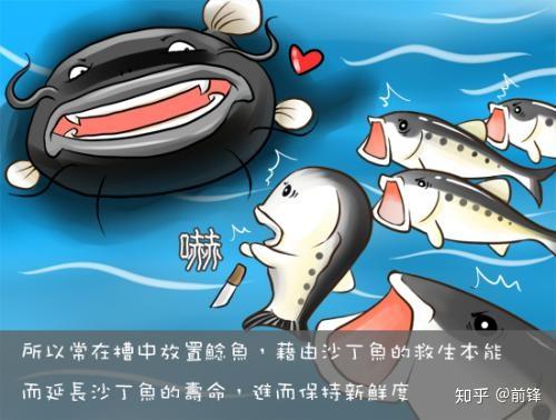 社会比较效应_社会效应最大化_社会效应的例子