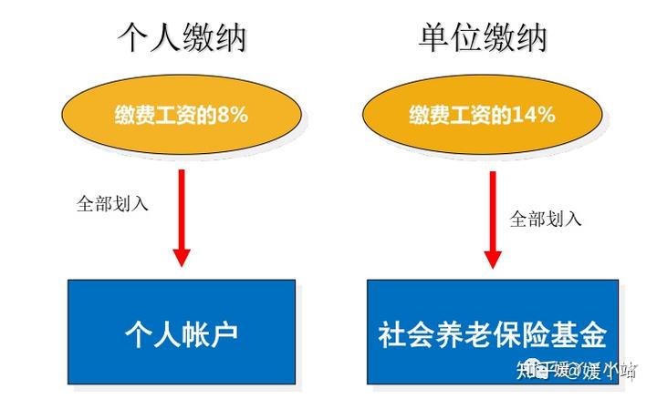 2018年买养老保险_2018养老保险交费比例_2018年社会养老保险交多少钱