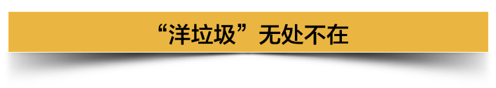 外国学生来中国留学的条件_外国学生的英文_外国学生