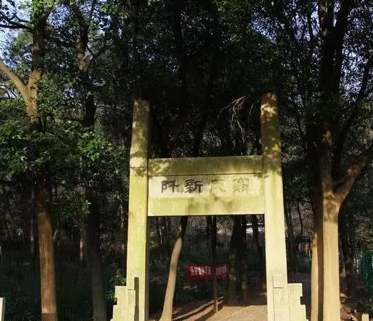 历史姓江的名人_关于江姓的历史名人_江姓名人及历史人物
