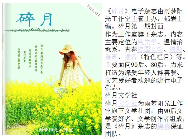 社会上流人士有哪些职业_社会上流人物什么意思_上流社会指的是哪些人