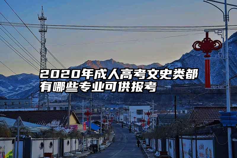 2020年成人高考文史类都有哪些专业可供报考