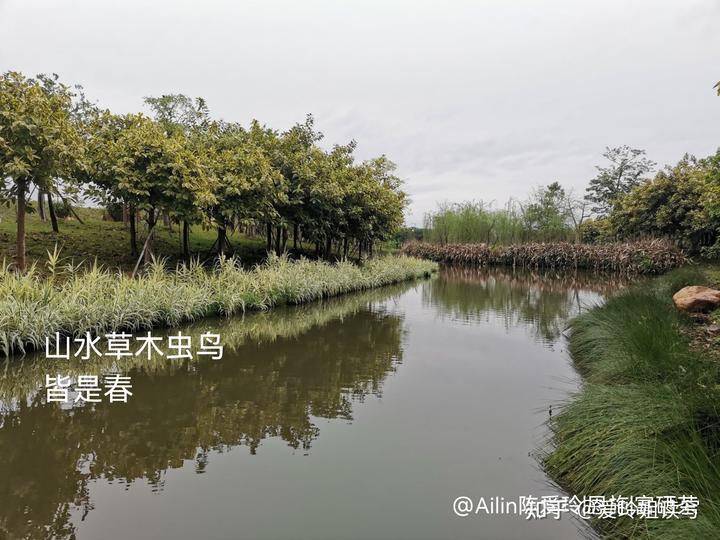 国学起名_国学知识大全_国学的