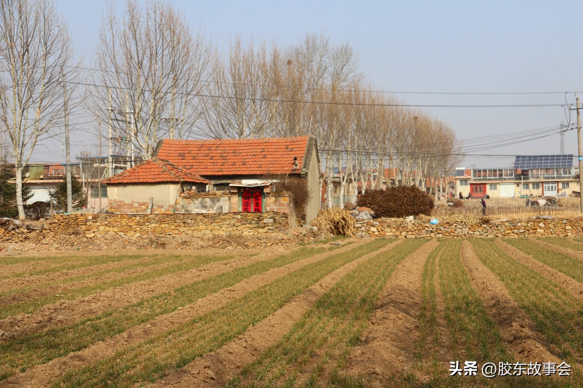 莱阳出名人物_莱阳的名人_莱阳历史名人