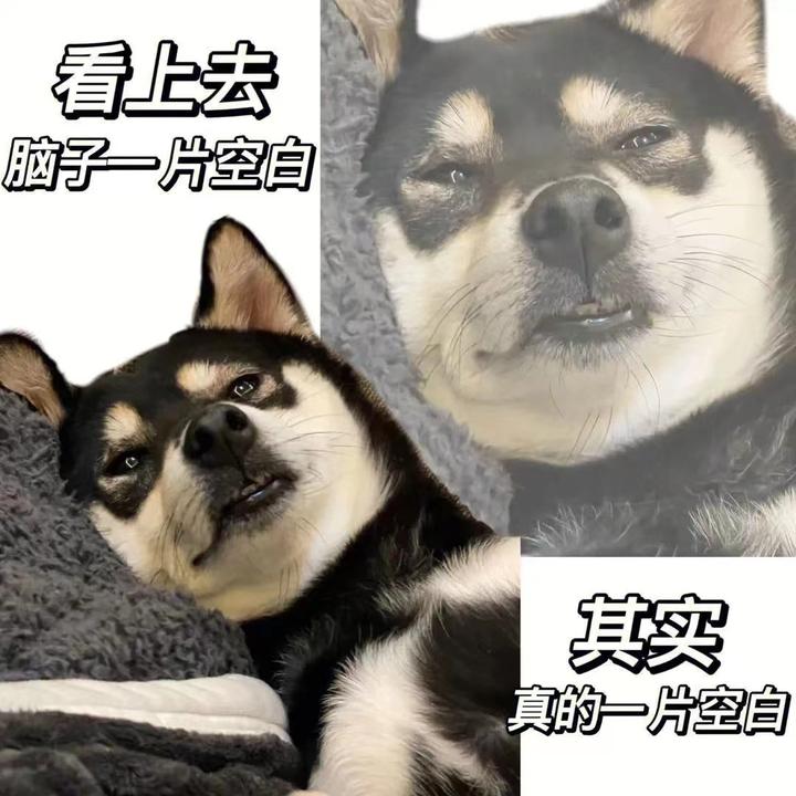 单招招收社会生吗_单招面向社会招生吗_社会考生走单招的过程