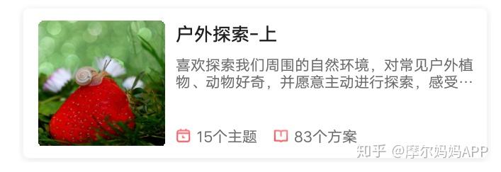 小小探索家教案_小小探索家项目课程的读后感_小小探索家
