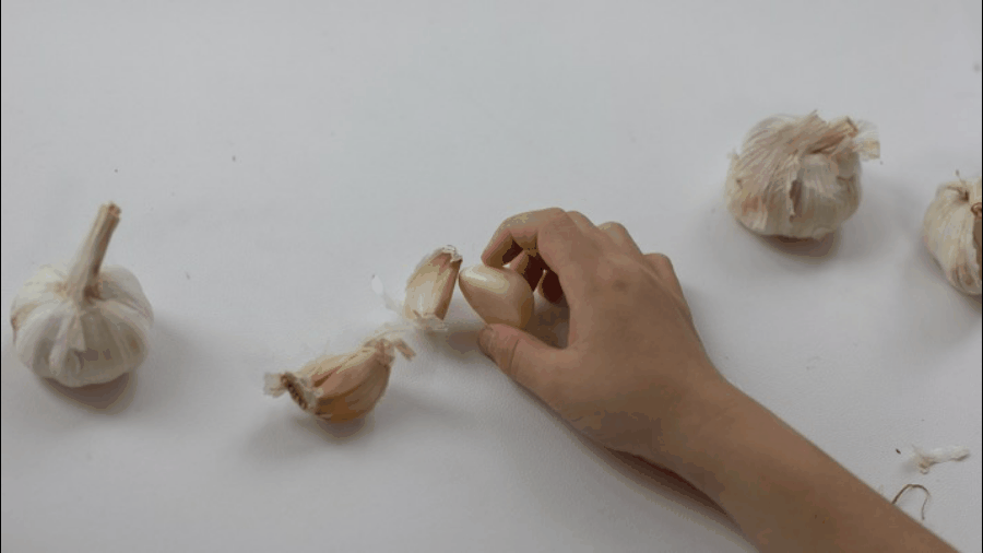 小小探索家项目课程的读后感_小小探索家_小小探索家教案