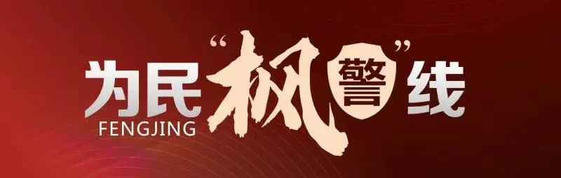 社会治安治理体系_社会治安综合治理体系建设_社会治安体系建设