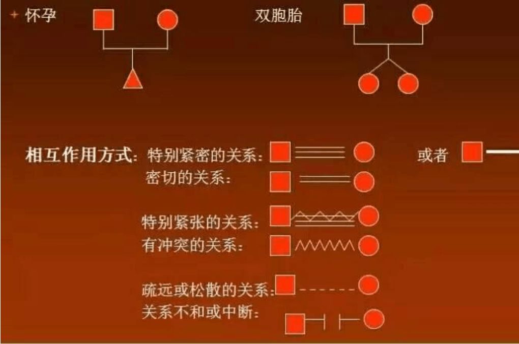 生态社会学_生态社会工作_社会生态