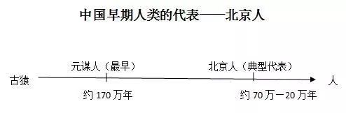 研究远古人类历史的依据_研究远古人类历史的主要依据是什么_研究远古人类起源的重要证据是