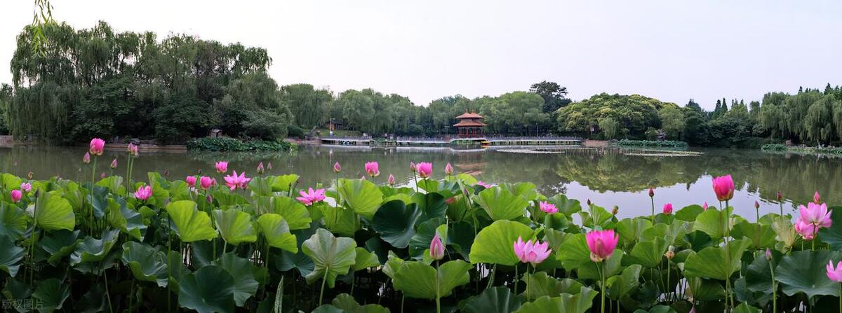 夏朝史料依据_研究夏朝的遗址是什么_我们研究夏朝历史的途径有哪些