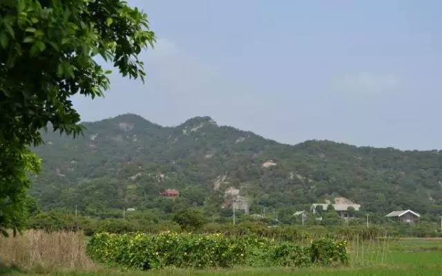 长乐区石门村有多少户人口_长乐市石门村_长乐石门村历史名人
