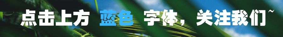 世说新语_世说新语言语是什么意思_语世新说二则