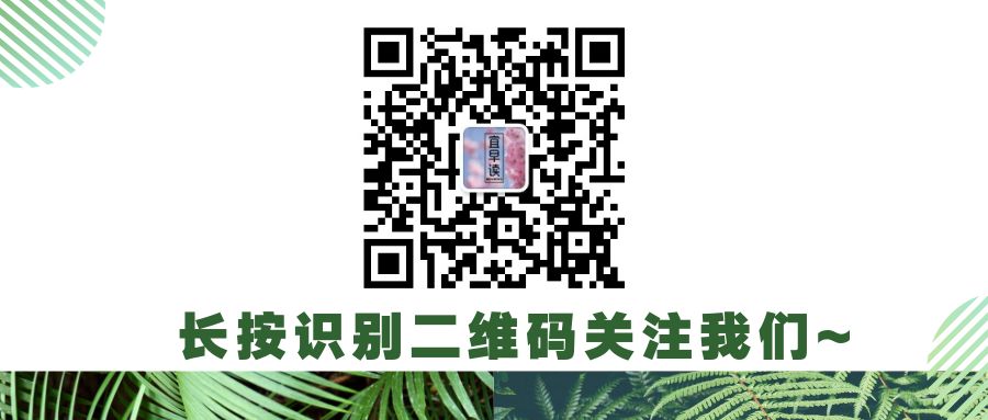 世说新语言语是什么意思_世说新语_语世新说二则