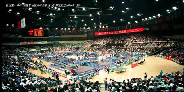 乒乓球历史中国男单冠军_中国乒乓球的历史_中国乒乓球辉煌历史