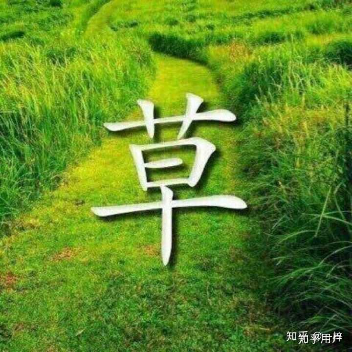 小米手机透明探索版壁纸_小米透明探索版_小米8透明探索版