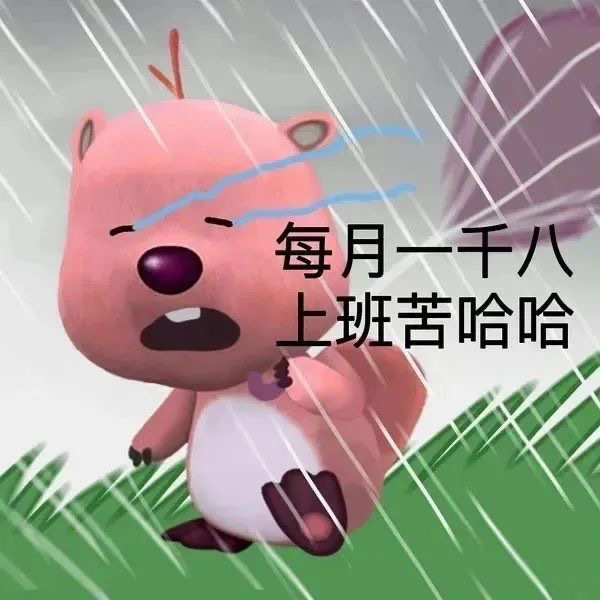 社会摇社会摇_社会摇摇_什么叫社会摇