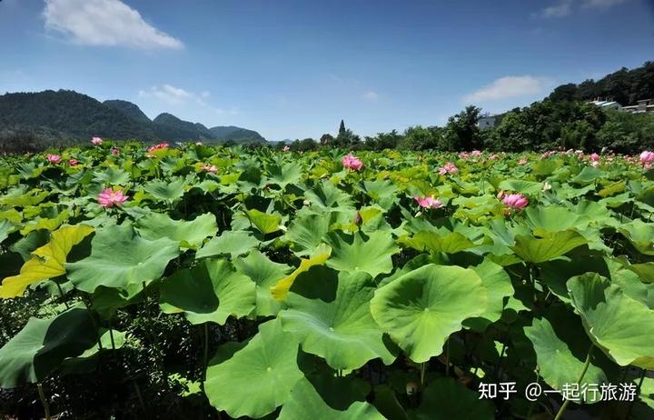 贵州文化旅游_贵州旅游文史_贵州文史旅游集团招聘