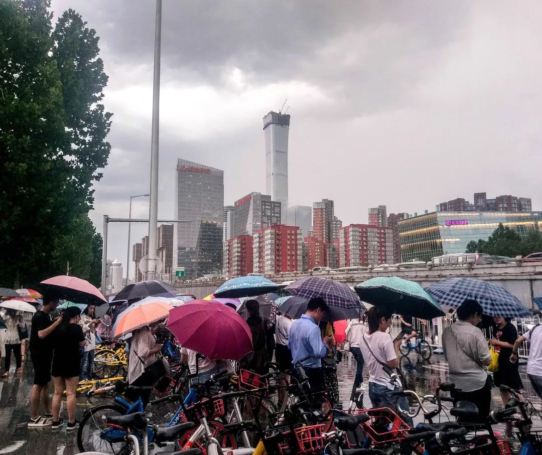 文史类是文科的意思么_文史类是文科吗_文史类是文科生吗