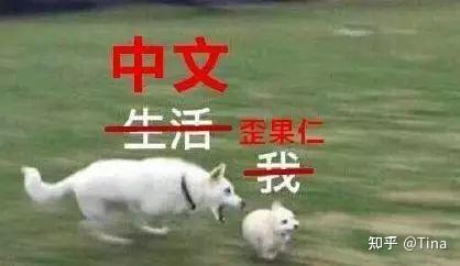 外国学生有寒暑假吗_外国学生来中国留学的条件_外国学生