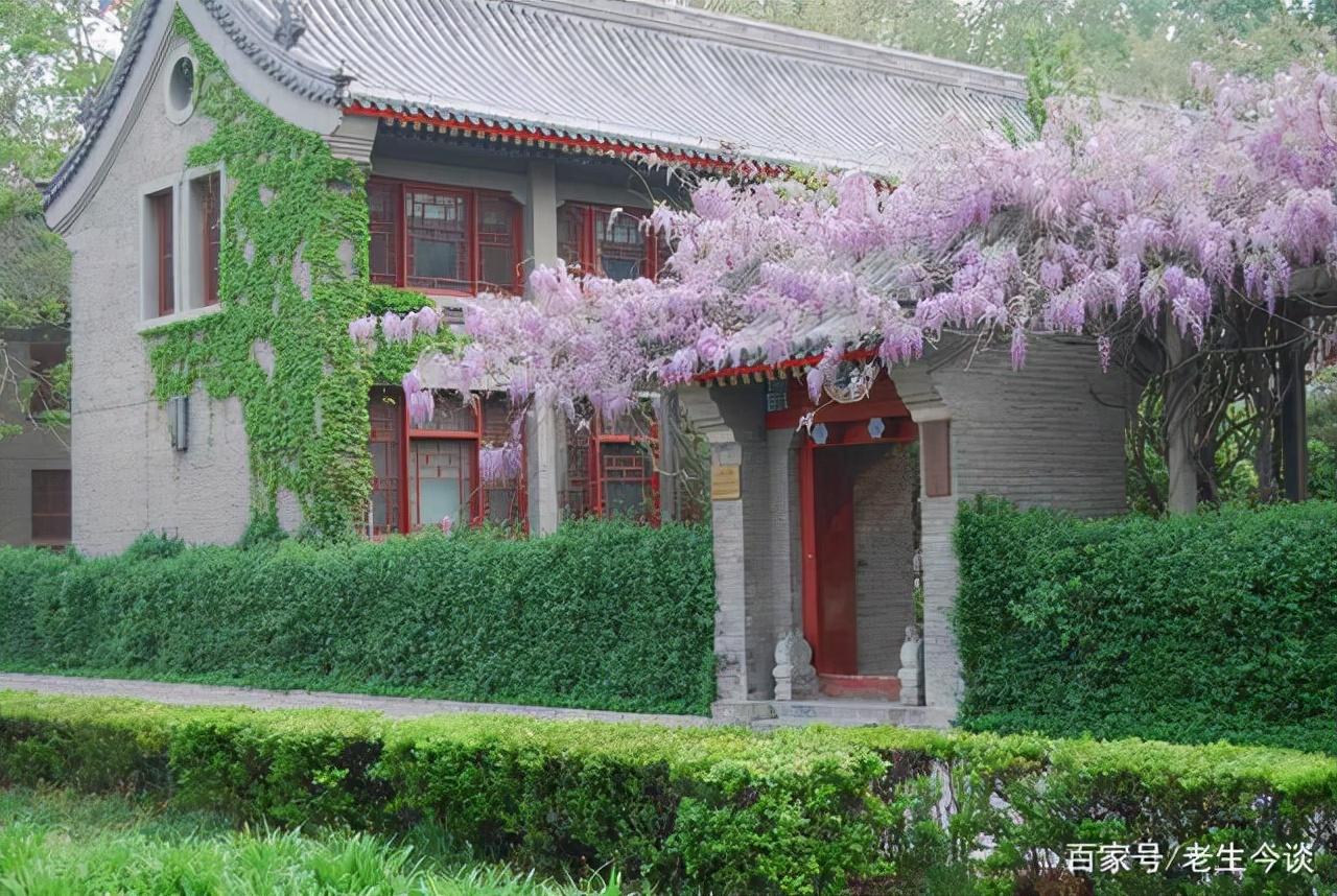 文史哲专业好的大学_文史哲专业_文史哲专业毕业去向如何